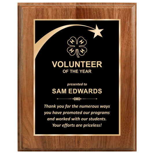 Walnut Finished Plaque 12" X 15" / Walnut / Shooting Star