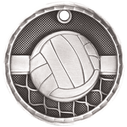 3D Volleyball Medal 2" / Silver