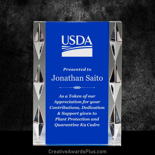 Blue Jewel Acrylic Award 7" / Blue