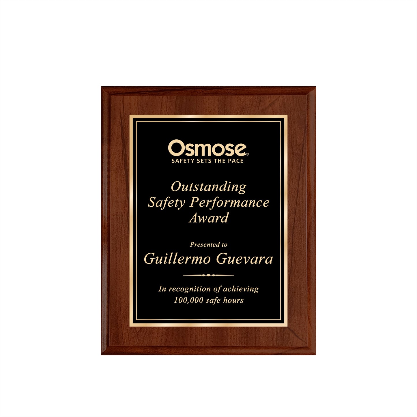Cherry Finished Plaque 8" X 10 / Cherry / Double Border