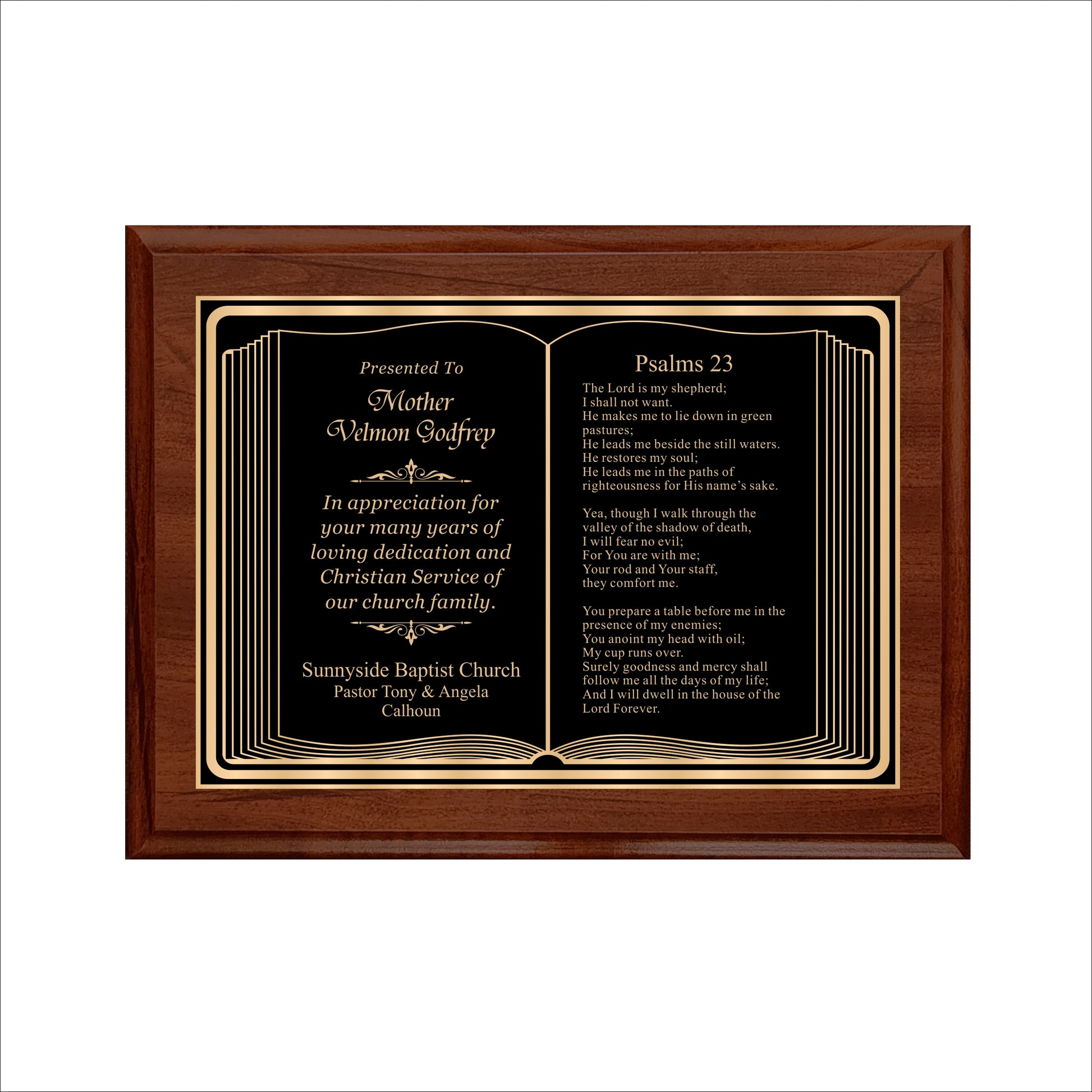Bible Themed Cherry Plaque 9" X 12" / Cherry / Bible / Book