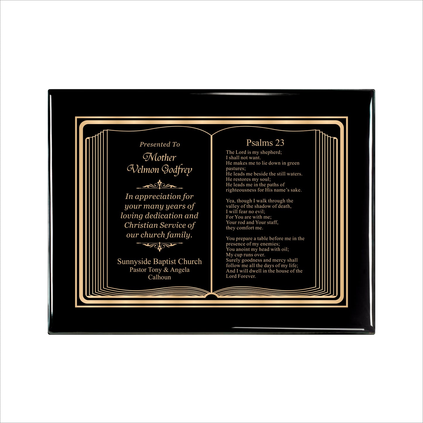 Bible Gold Themed Ebony Plaque 9" X 12" / Black Piano Finish / Bible / Book