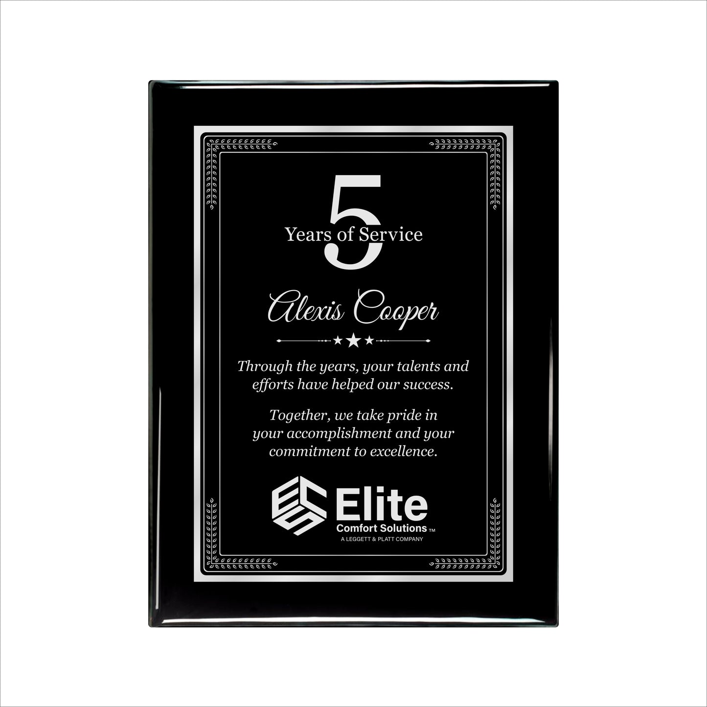 Ebony Finished Plaque with Silver Border 9" X 12" / Black Piano Finish / Elite Border