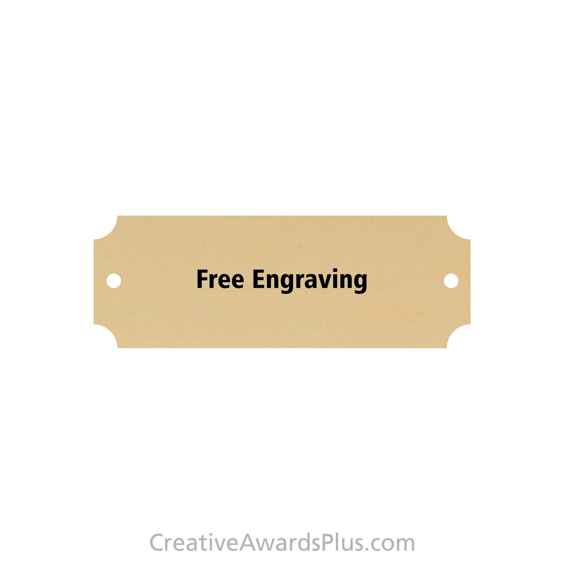 Brass Perpetual Plate 7/8" x 2.5" / Satin Gold