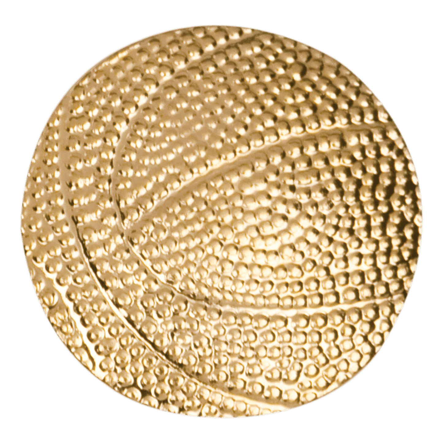 Chenille Pin Various / Basketball