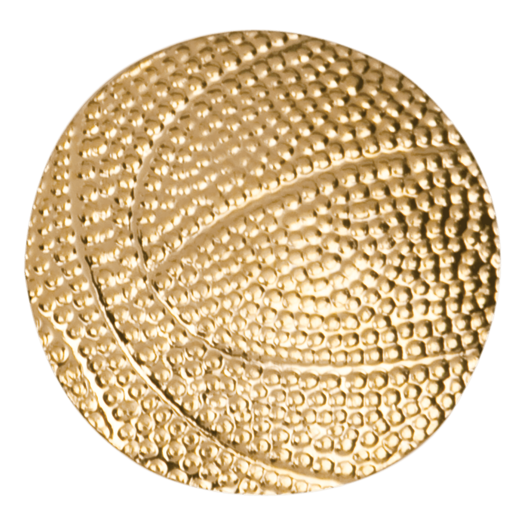 Chenille Pin Various / Basketball