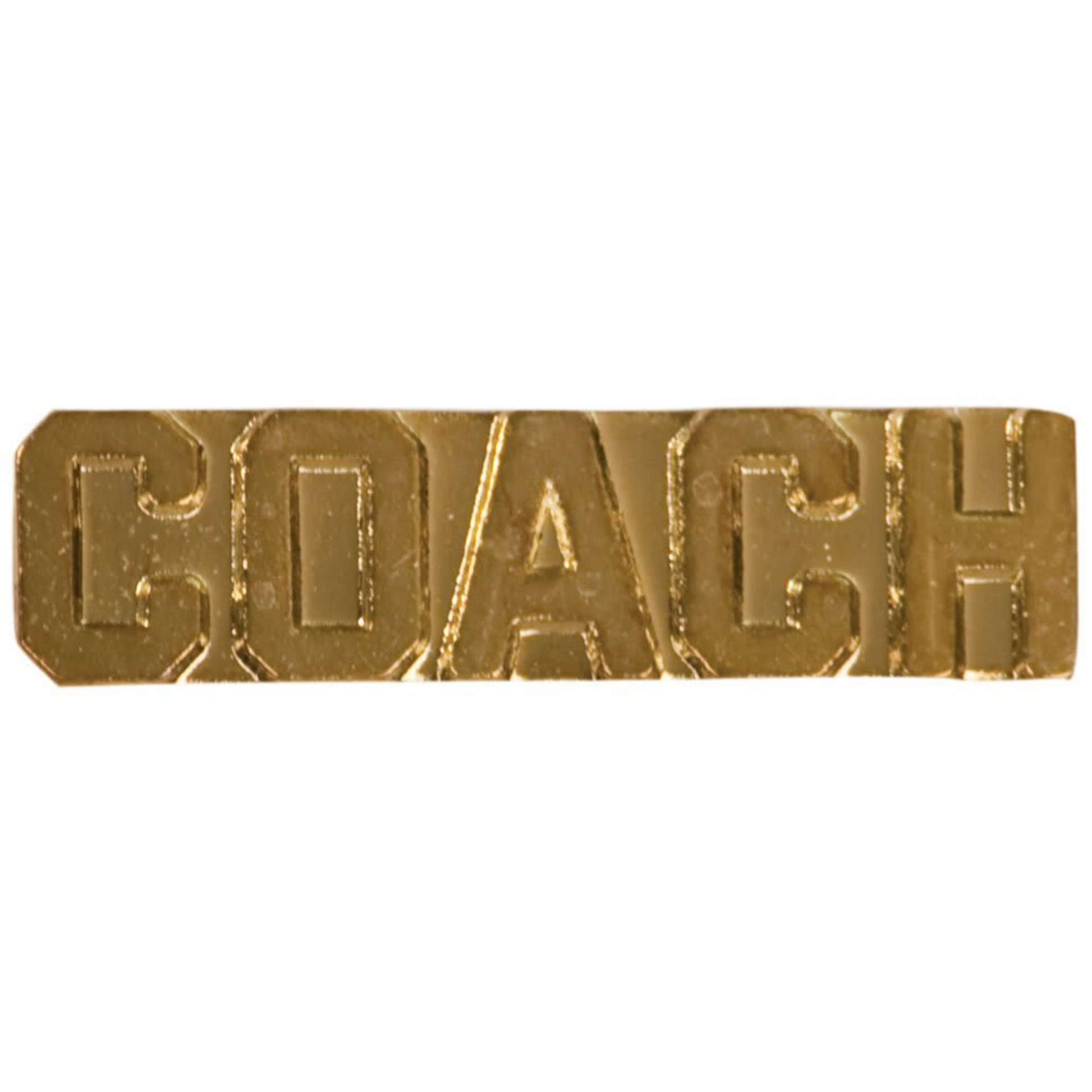 Chenille Pin Various / Coach