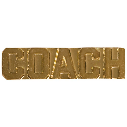 Chenille Pin Various / Coach