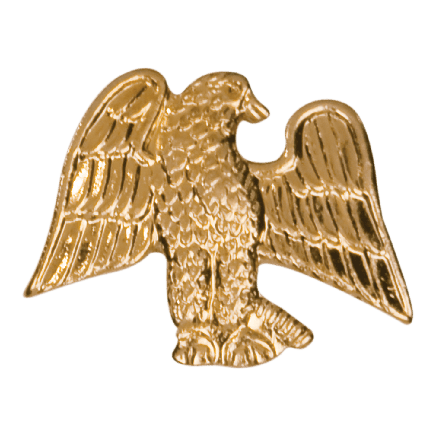 Chenille Pin Various / Eagle
