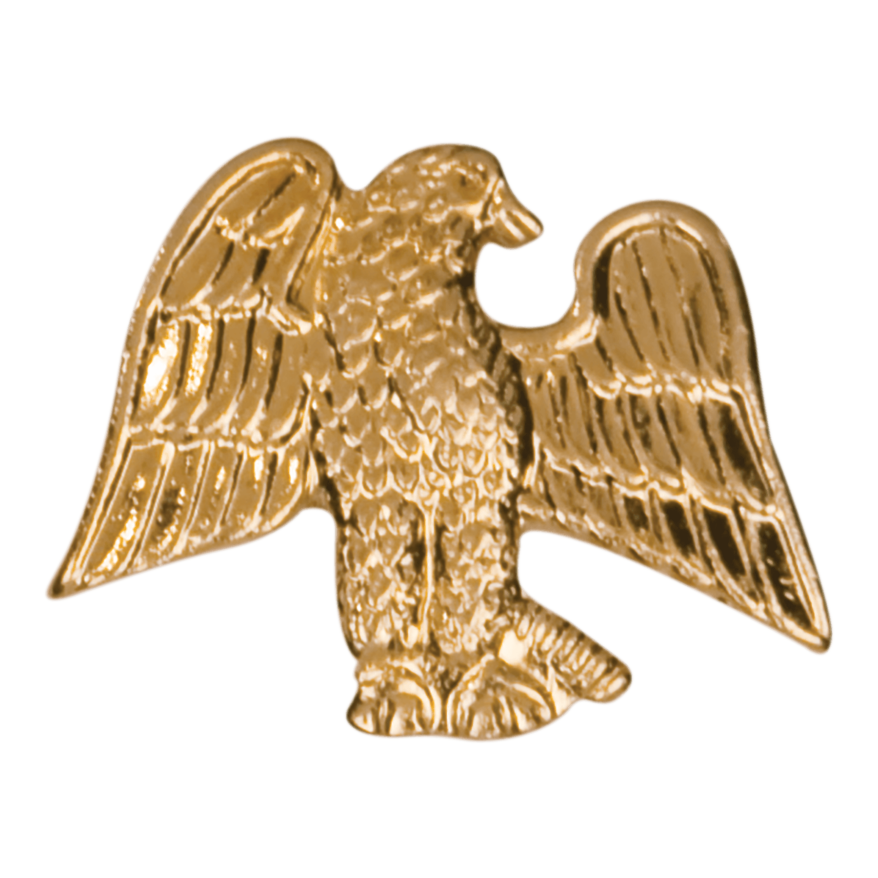 Chenille Pin Various / Eagle