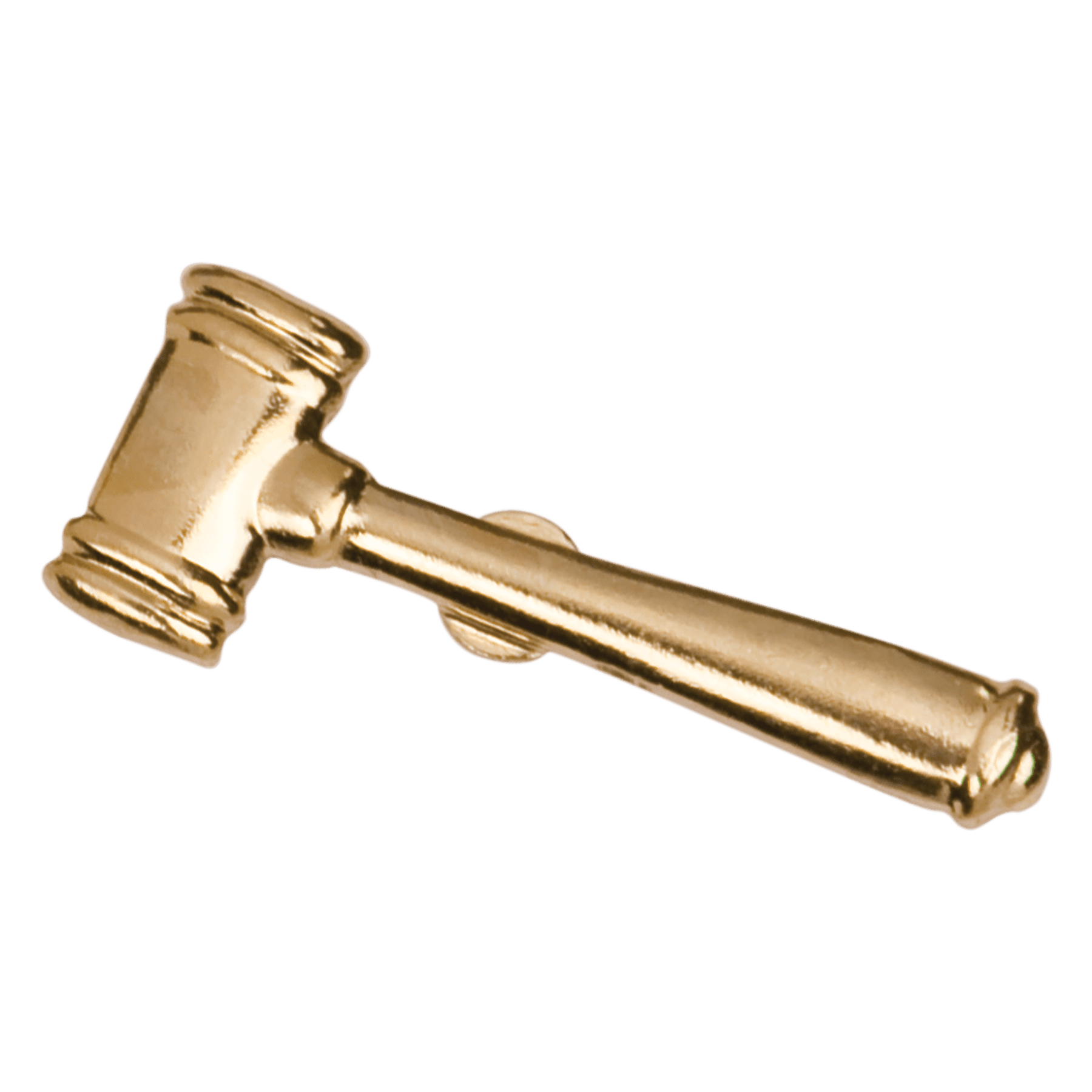 Chenille Pin Various / Gavel