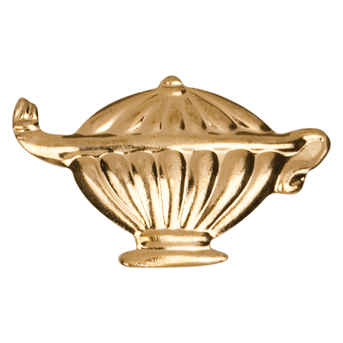 Chenille Pin Various / Lamp Of Knowledge