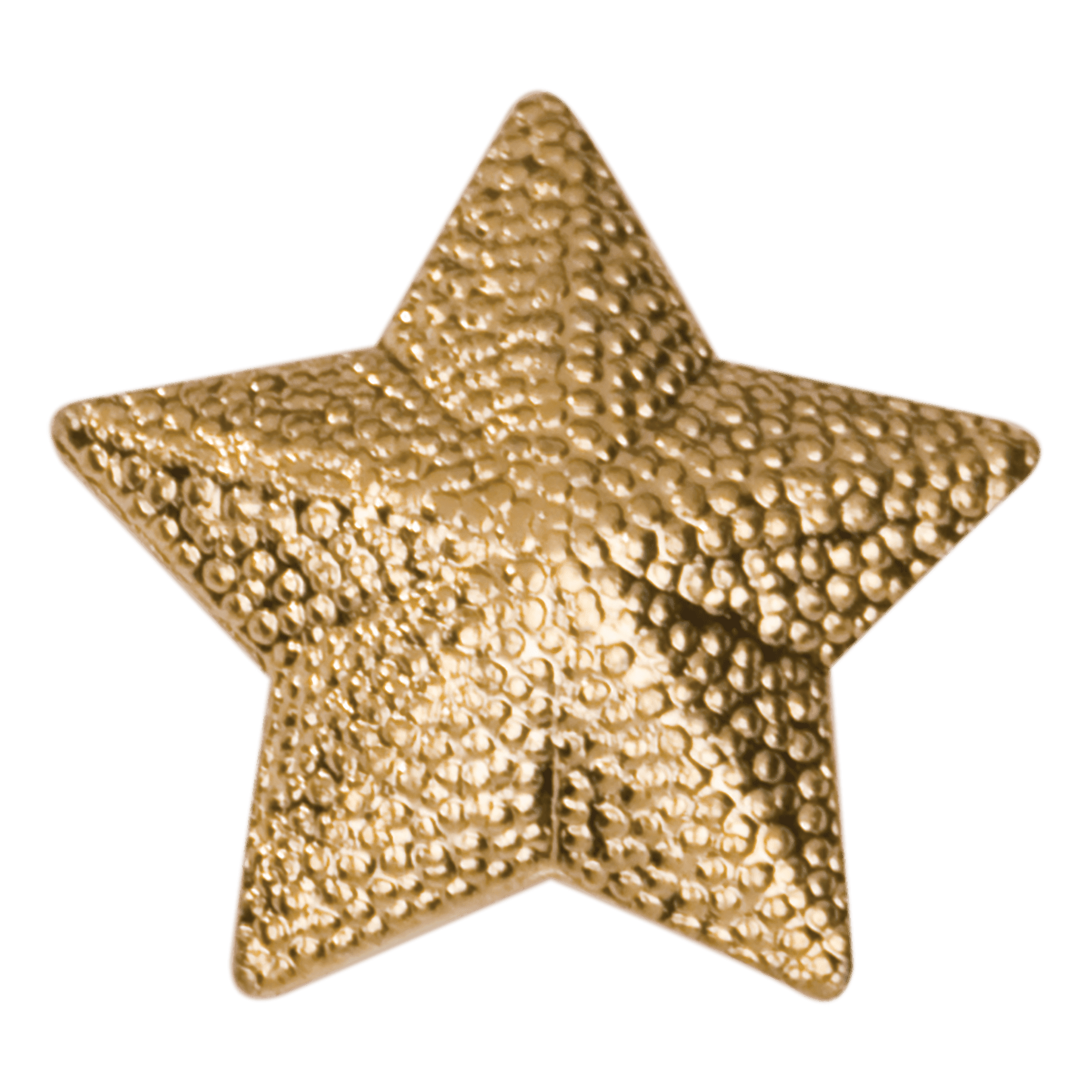 Chenille Pin Various / Star