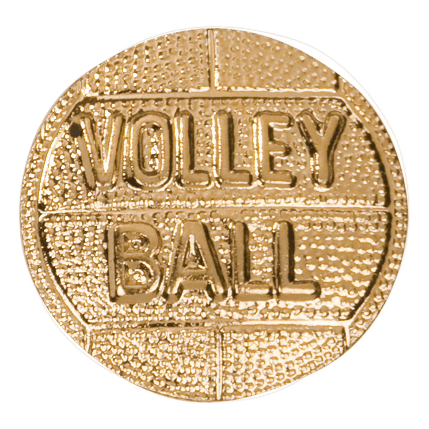 Chenille Pin Various / Volleyball