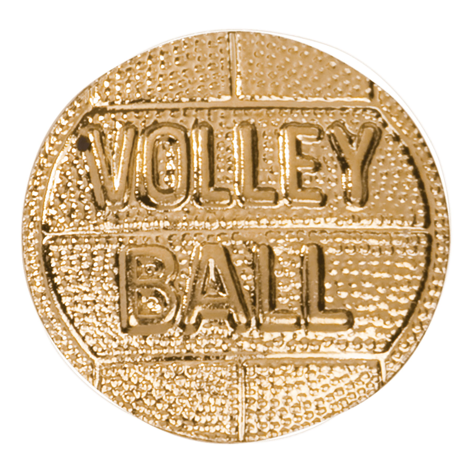 Chenille Pin Various / Volleyball
