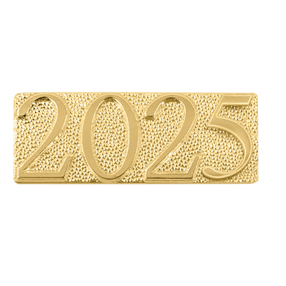 Chenille Pin Various / 2025