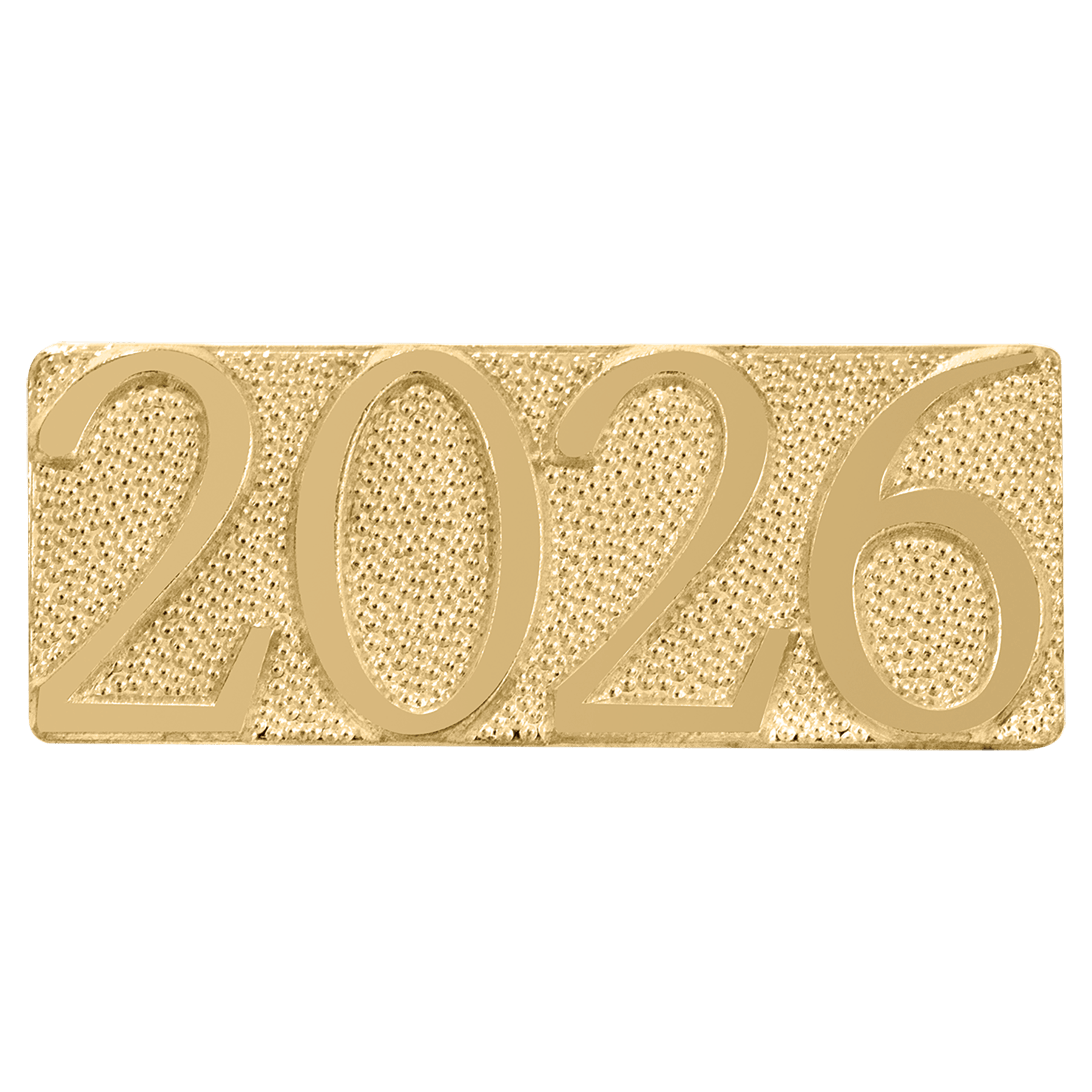 Chenille Pin Various / 2026