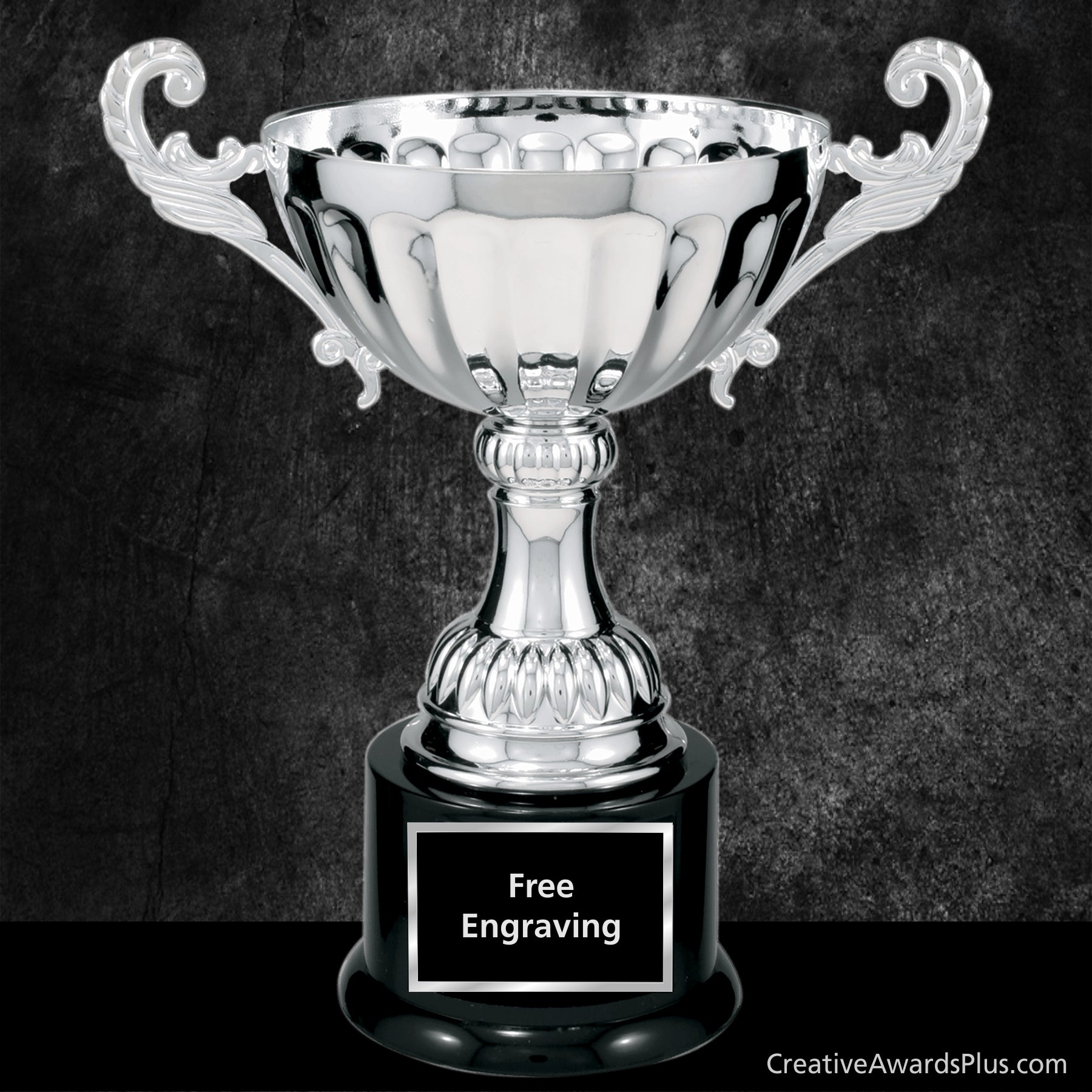Prince Silver Trophy Cup 9.75"