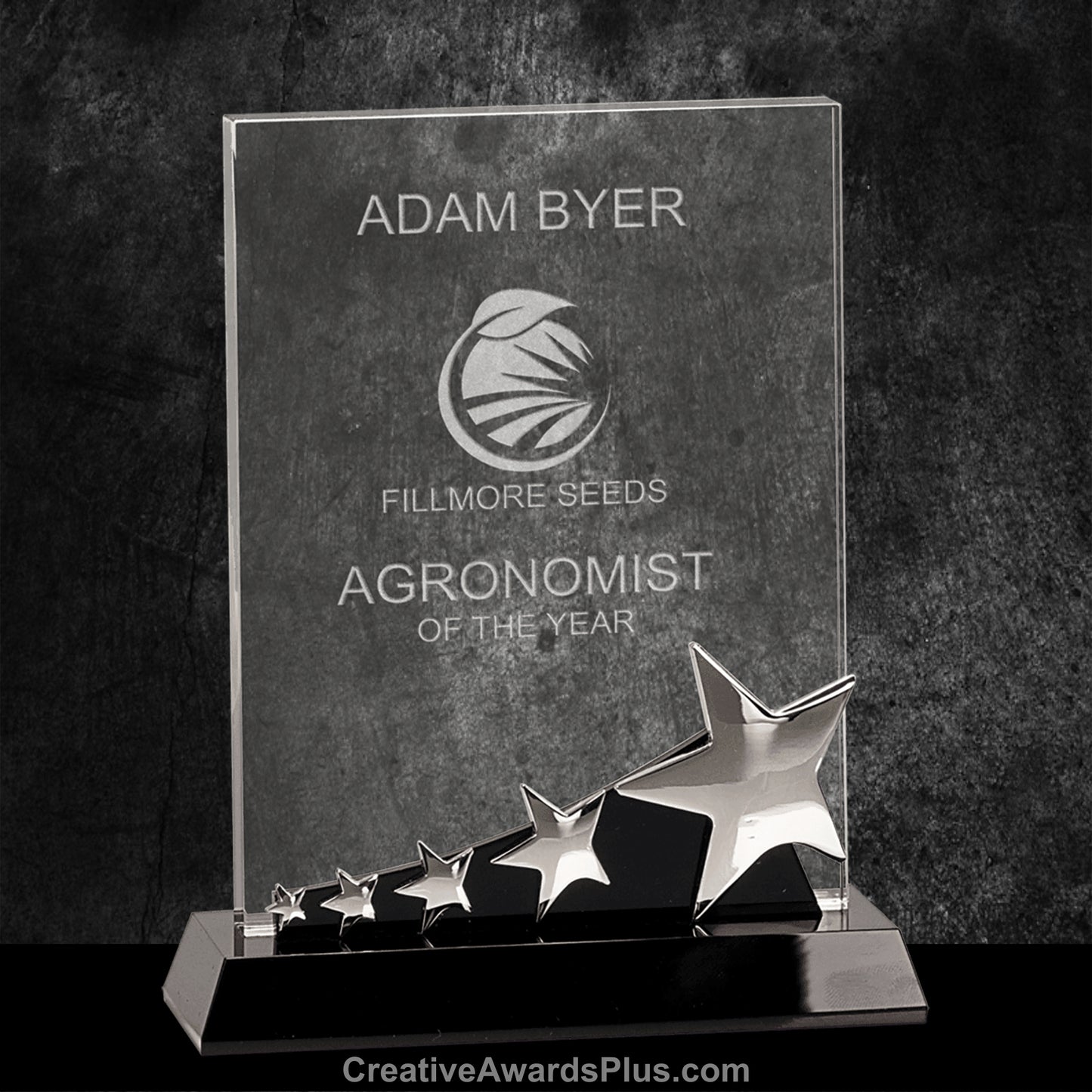 Silver Star Crystal Award 8" / Silver