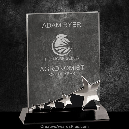 Silver Star Crystal Award 8" / Silver