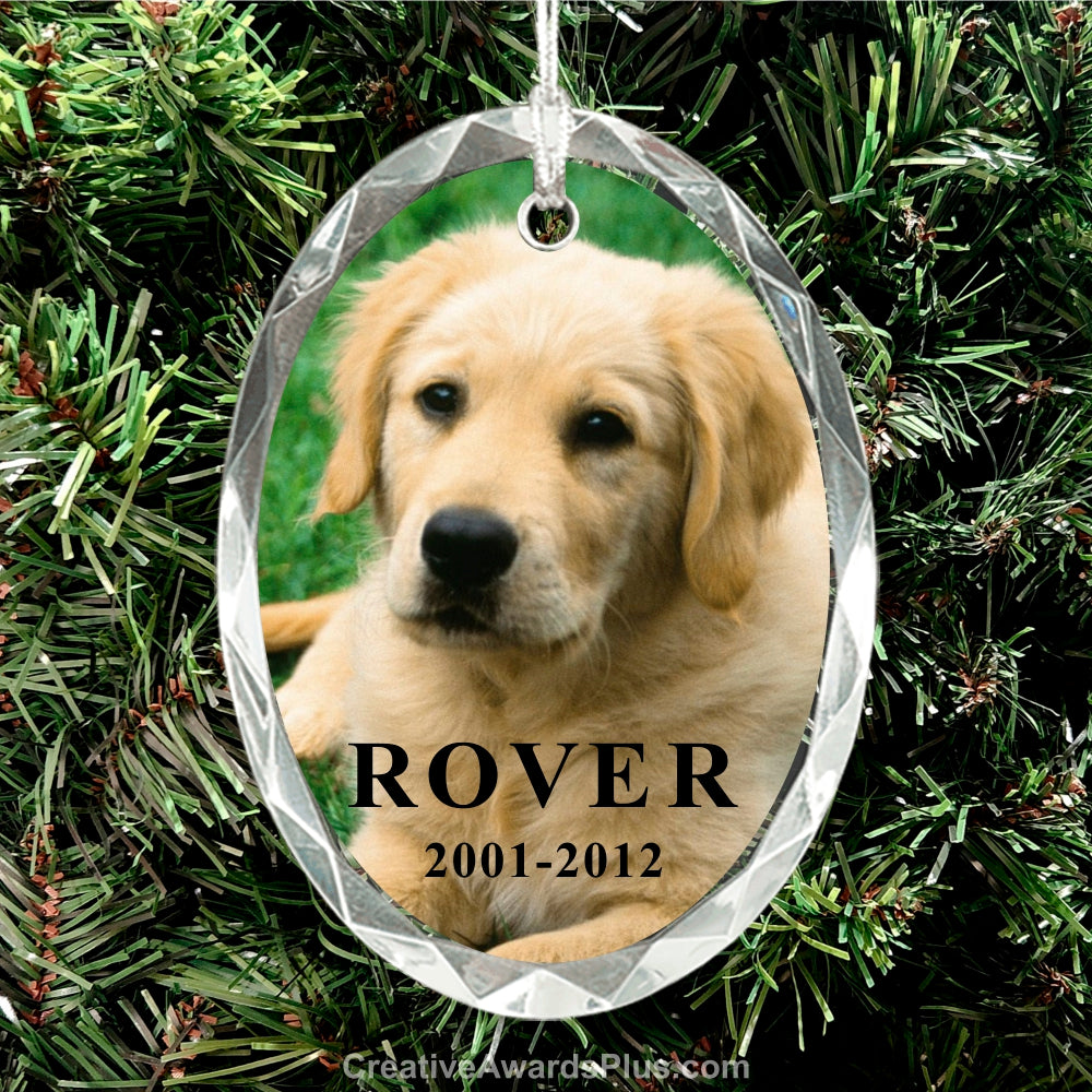 Crystal Oval Christmas Ornament 3" / Clear