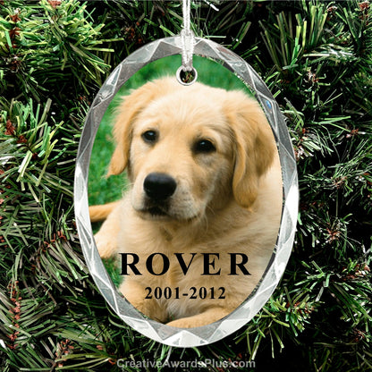 Crystal Oval Christmas Ornament 3" / Clear