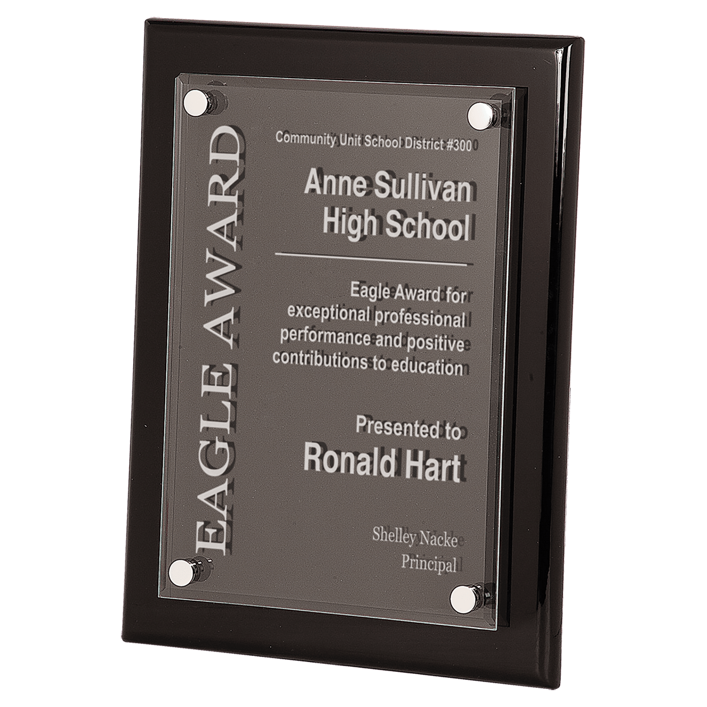 Floating Acrylic Black Plaque 9" x 12" / Black Piano Finish