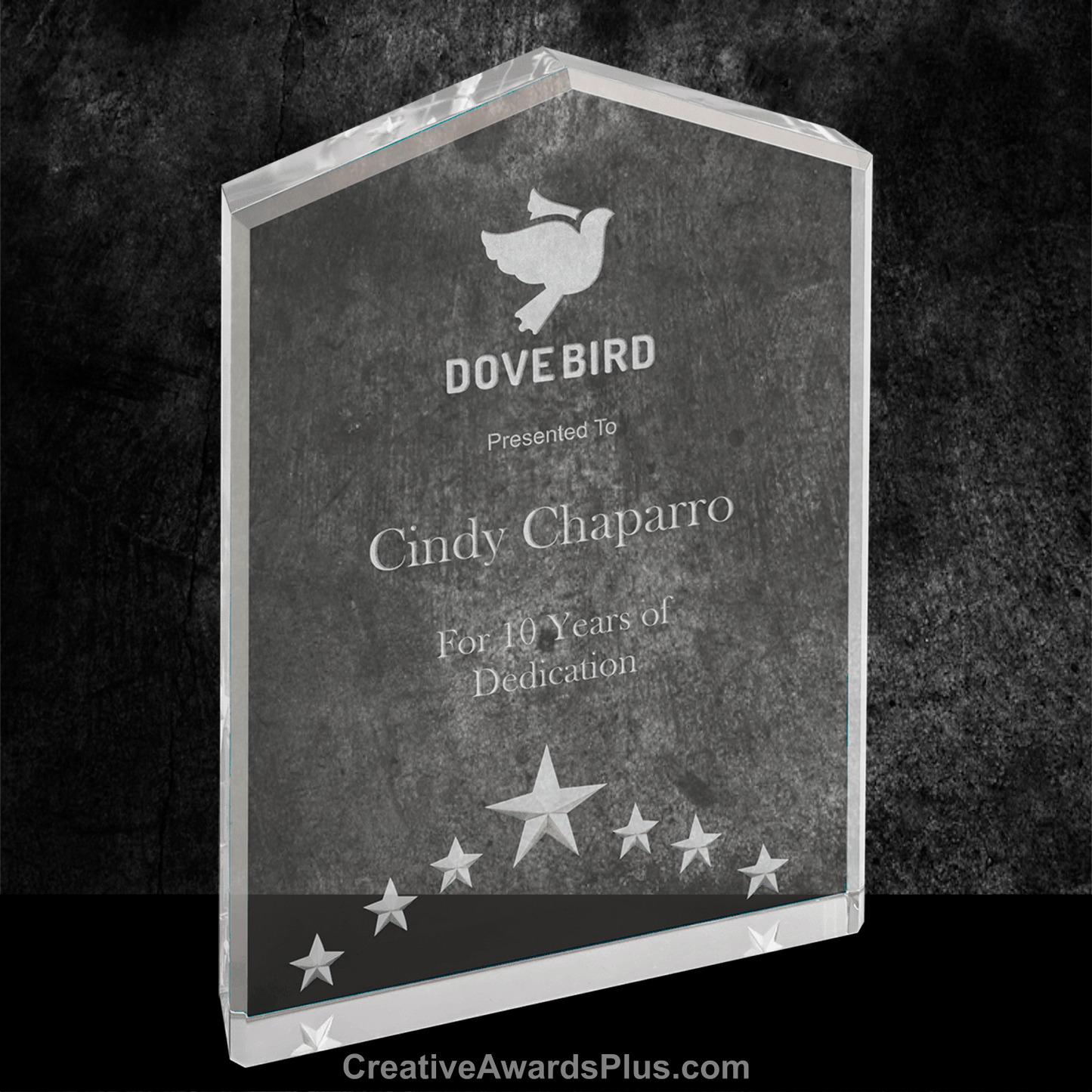 5 Star Acrylic Award 7" / Silver