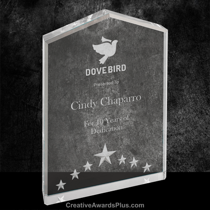5 Star Acrylic Award 7" / Silver
