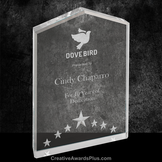 5 Star Acrylic Award 7" / Silver