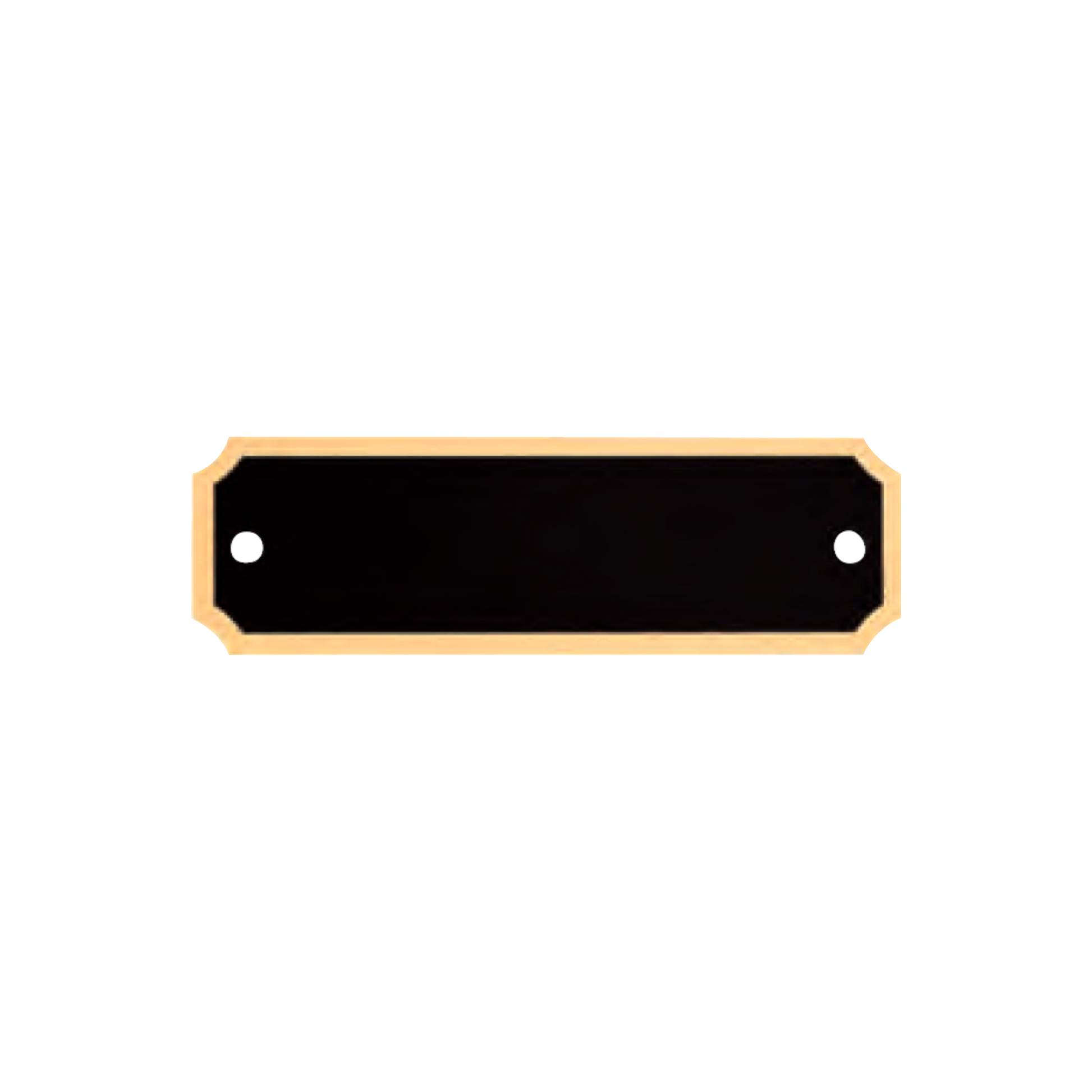 Black Brass with Notched Gold Border 1" x 3.25" / Black