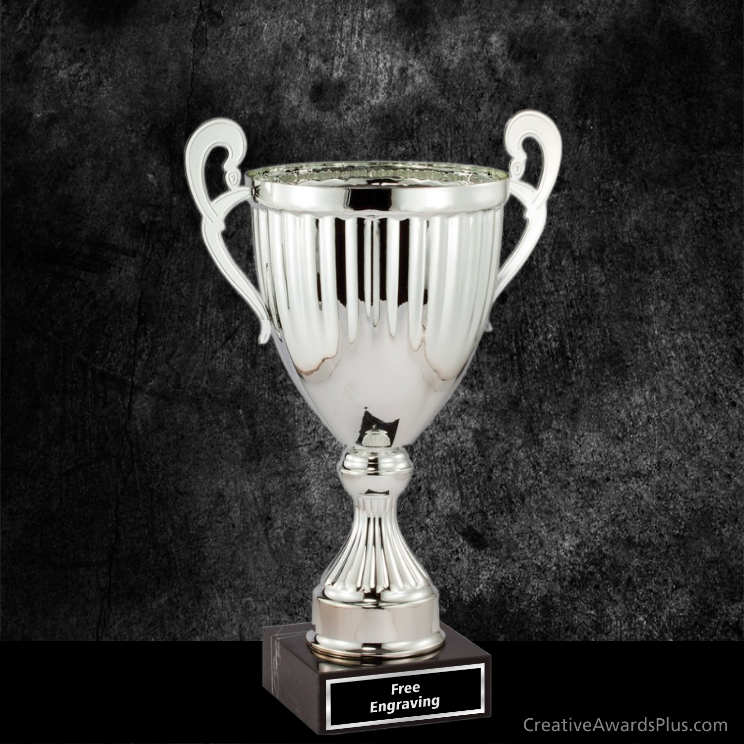 Aspire Trophy Cup 14" / Silver