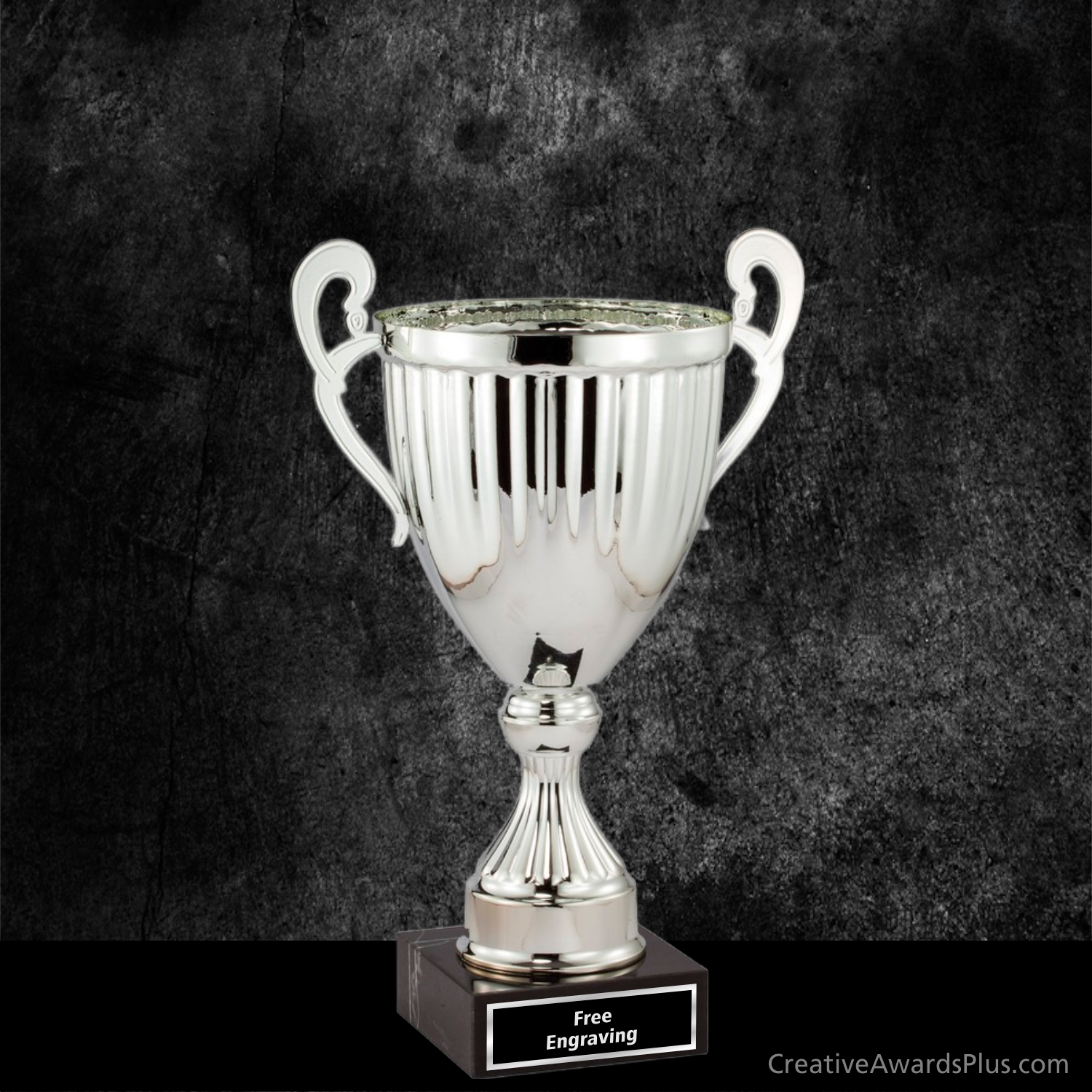 Aspire Trophy Cup 12.25": / Silver