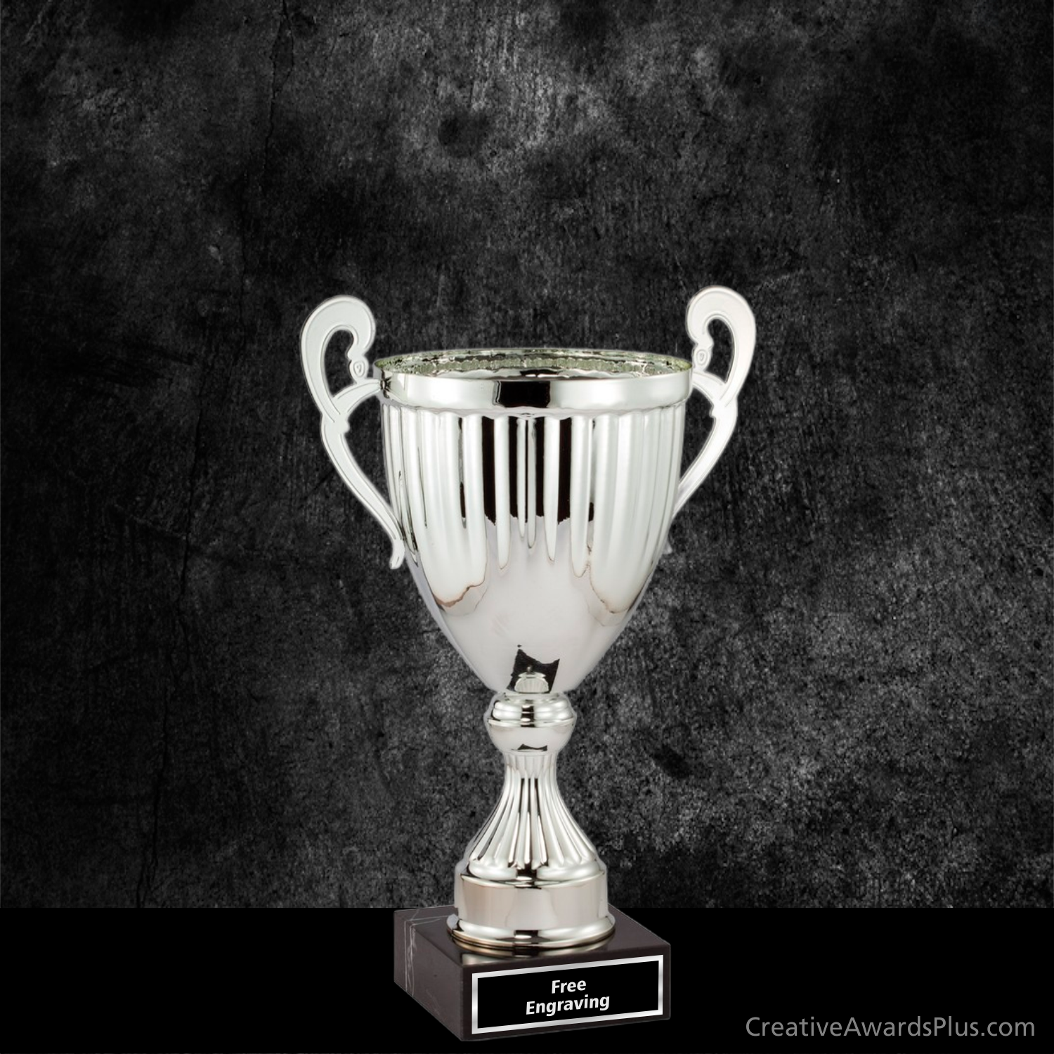 Aspire Trophy Cup 10.75" / Silver