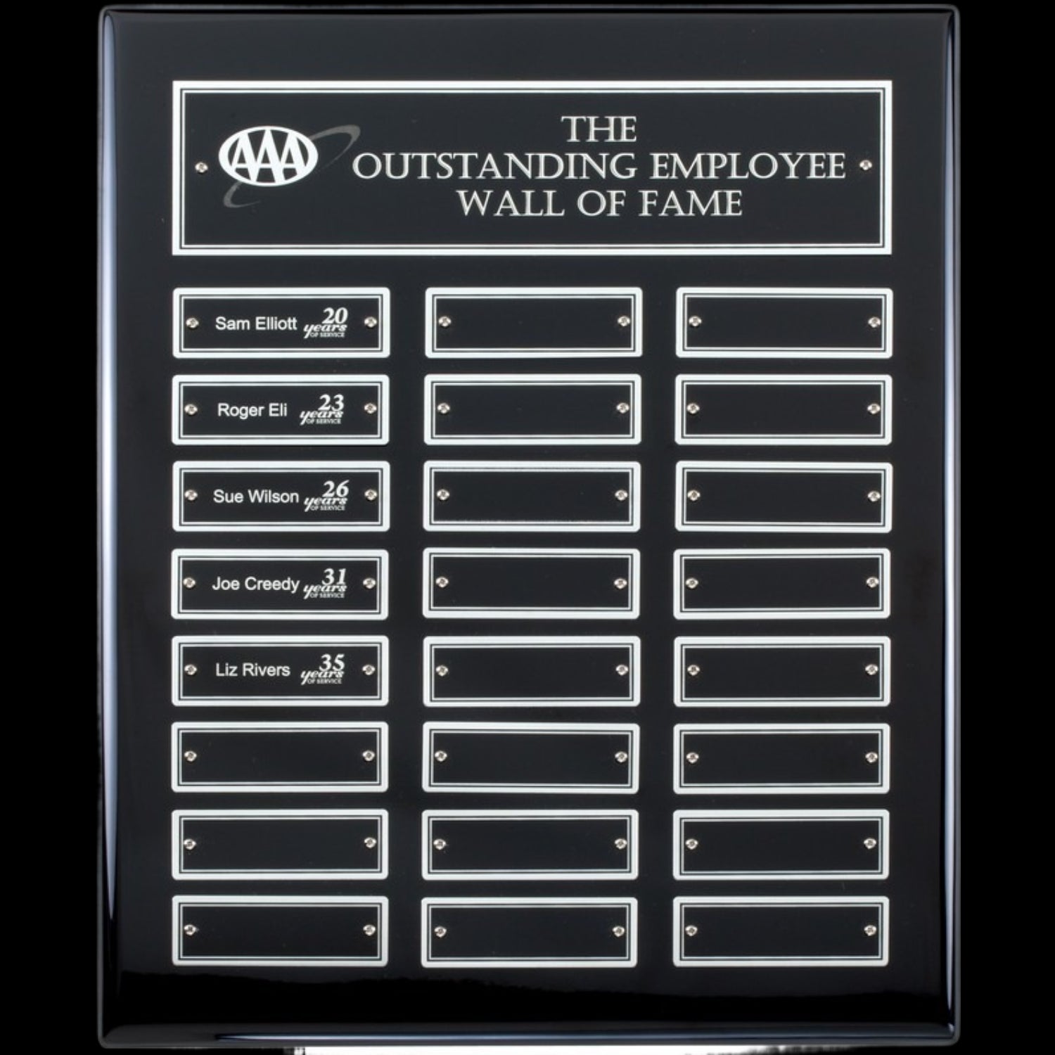 Ebony Perpetual Plaque Silver (24 Plates) 12" x 15" / Black / 24 Leaf Plates