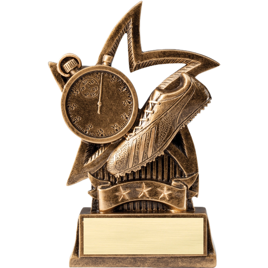 Star Series Track Award 6"