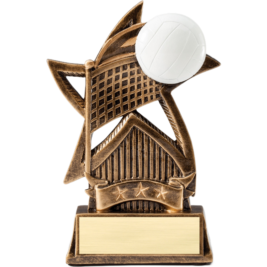 Star Series Volleyball Award 6"