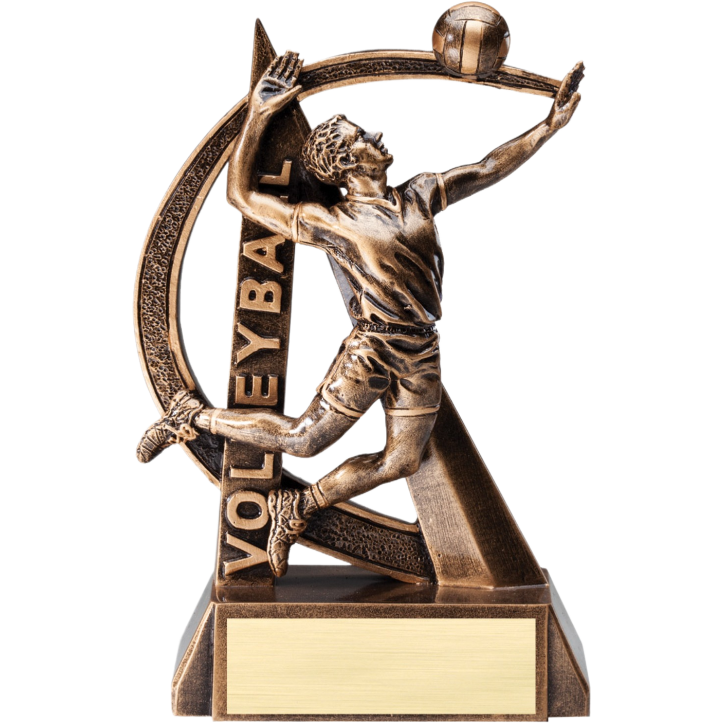 Ultra Action Male Volleyball Award 6.5"