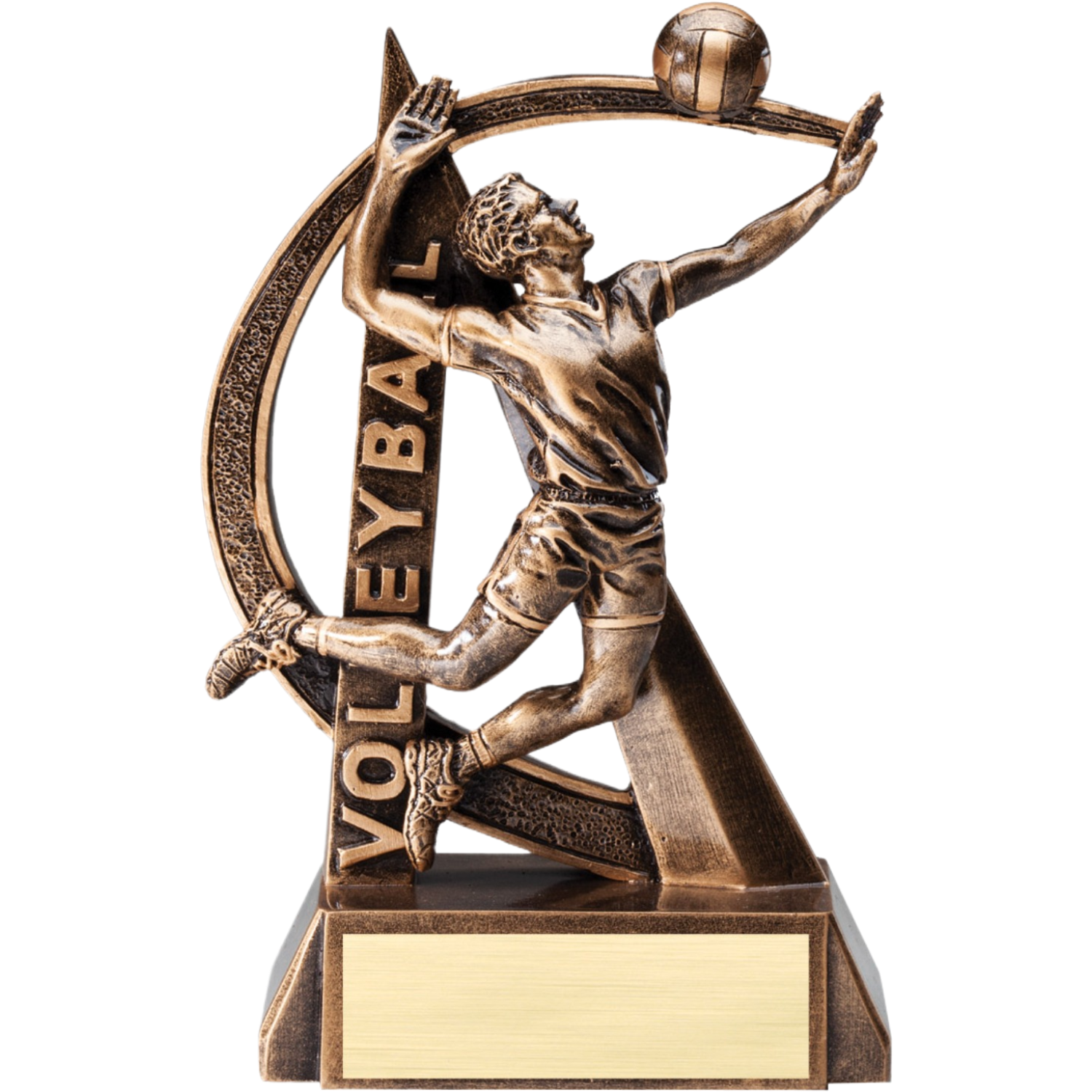 Ultra Action Male Volleyball Award 6.5"