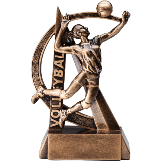 Ultra Action Female Volleyball Award 6.5"