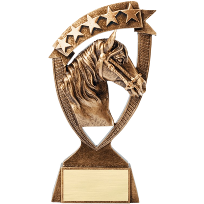 Banner Equestrian Award 6"