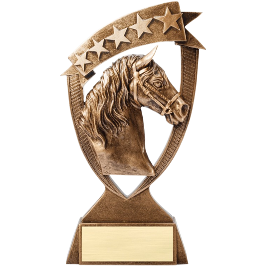 Banner Equestrian Award 8"