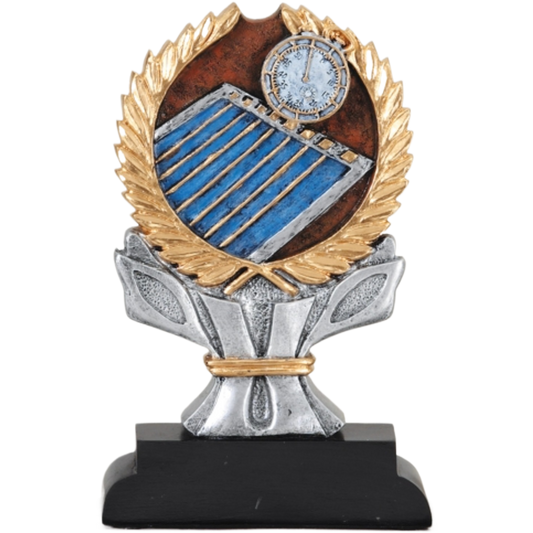 Impact Swimming Award 6"