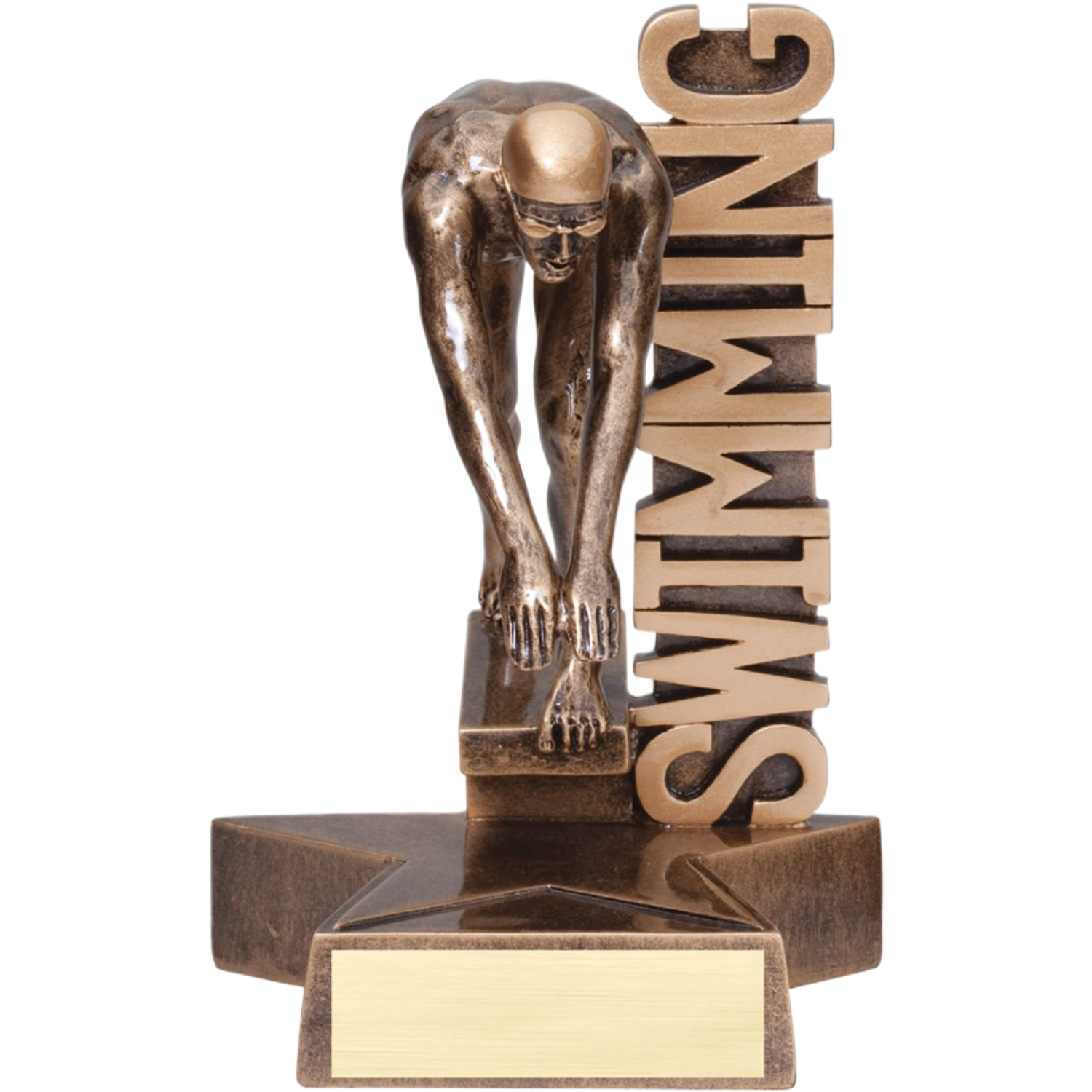 Billboard Male Swimming Award 6.5"