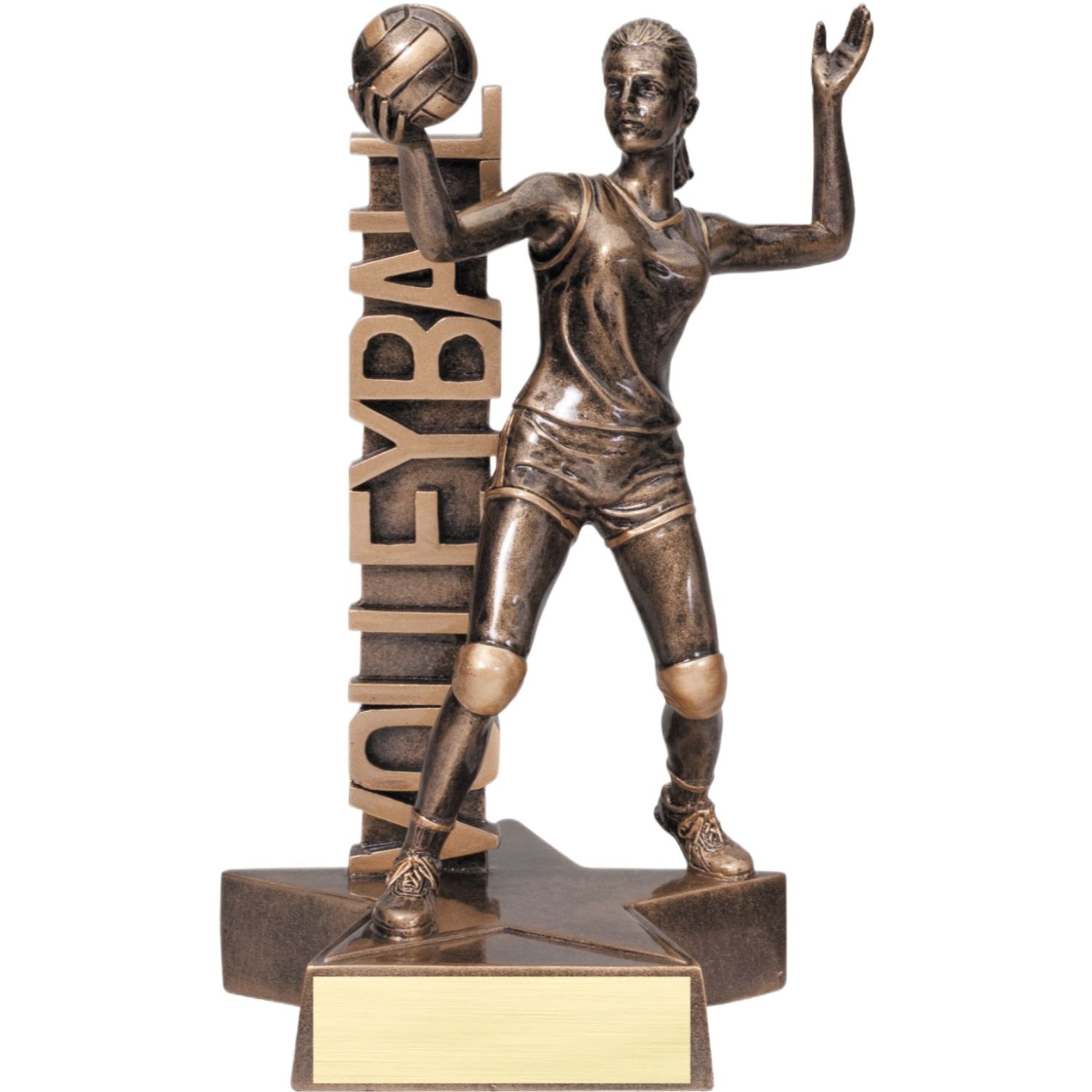 Billboard Female Volleyball Award 8.5"