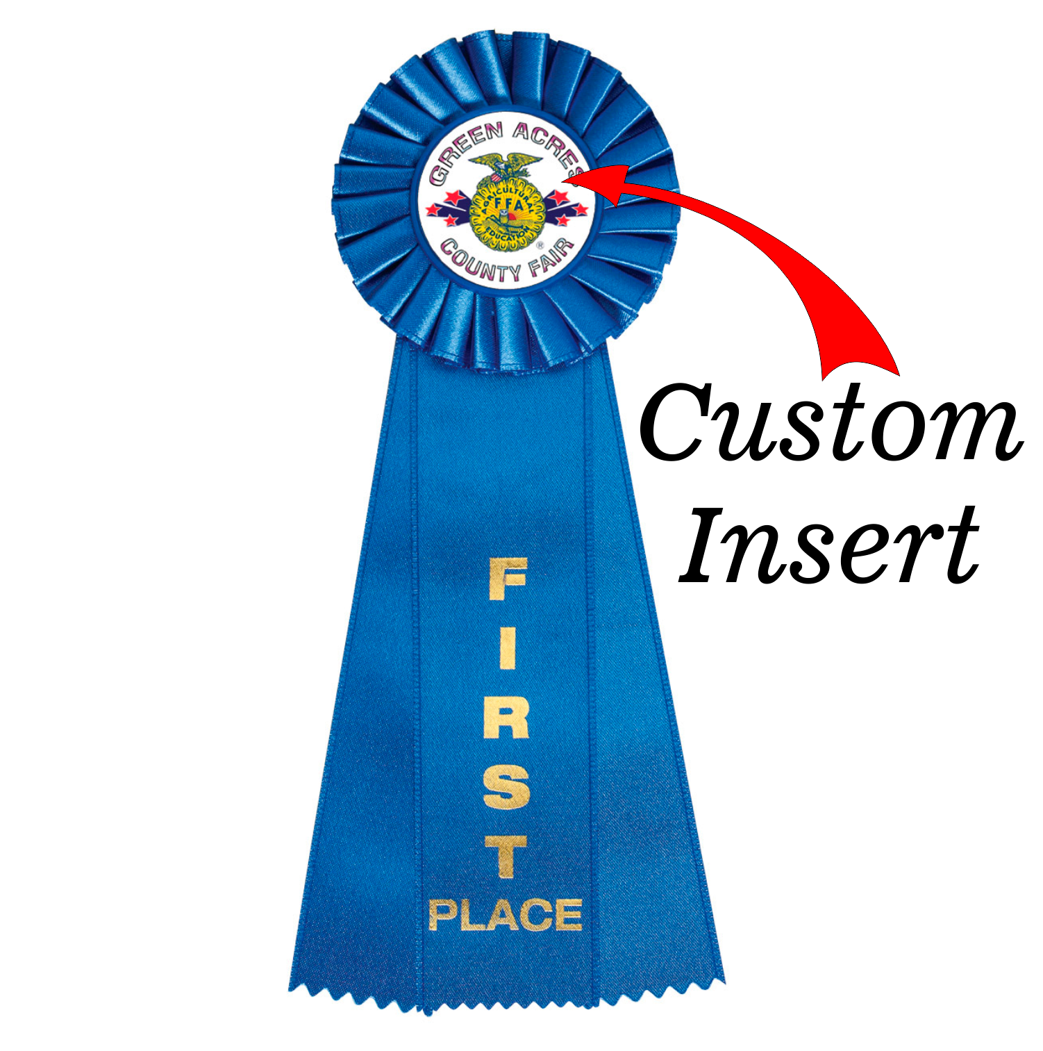 Custom Insert Large Rosette Ribbon 1st Place 11" / Blue