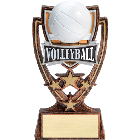 Four Star Volleyball Award 6"