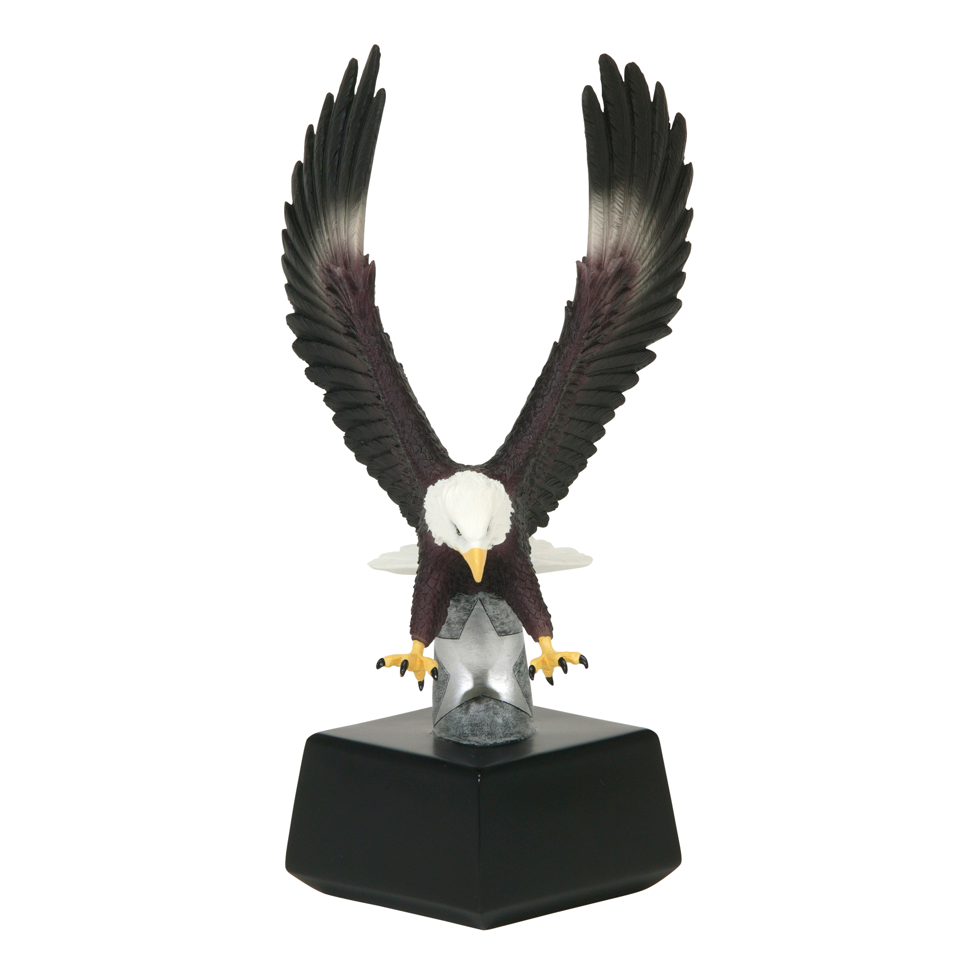 Color Strike Eagle Award 10"