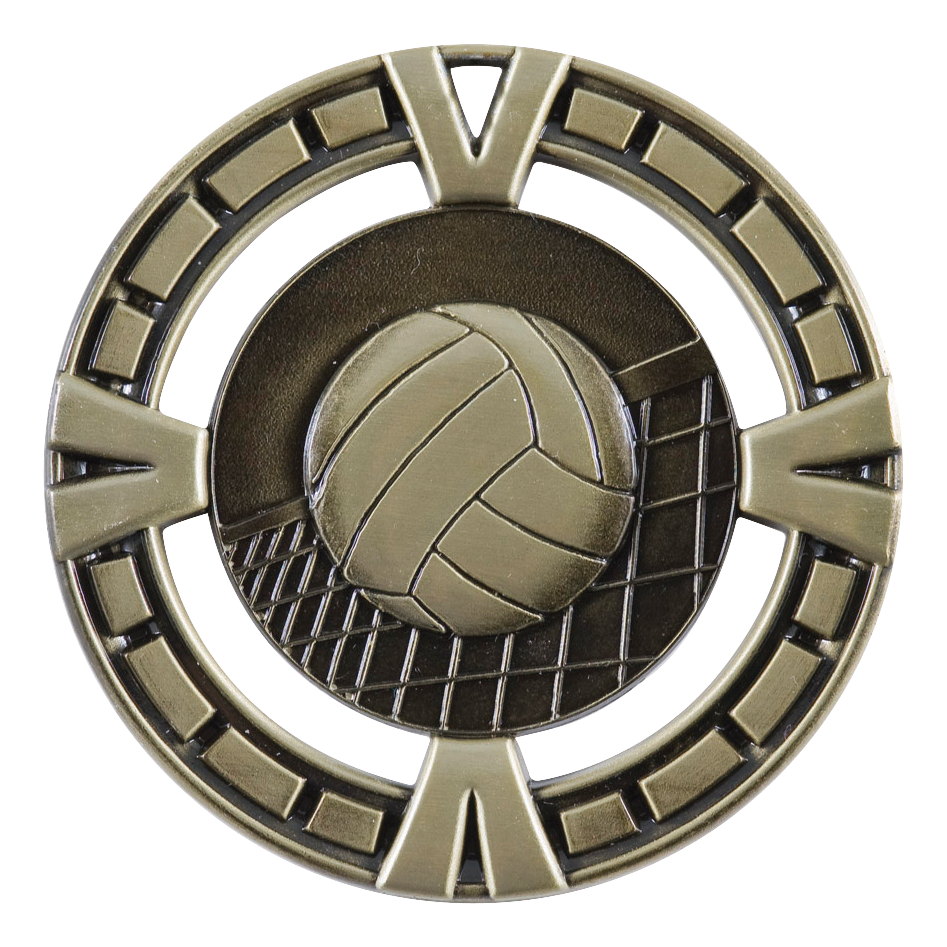 Celebration Volleyball Medal 2.5" / Gold