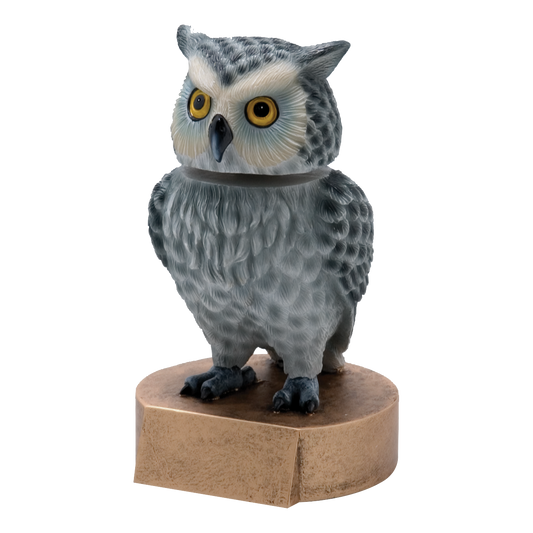 Bobblehead Owl Award 6"
